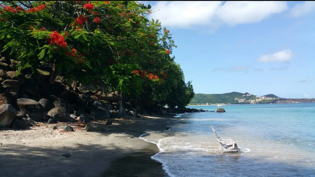 sailboat cruises caribbean